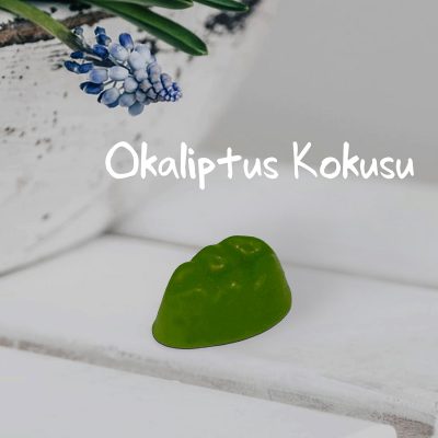 okaliptus-buhurdanlik-kokusu-parca-st-min