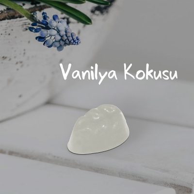 vanilya-buhurdanlik-kokusu-parca-st-min
